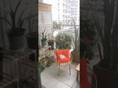 فولاد ضد زنگ گرید 316 با گیره عبوری امنیتی برای نرده بالکن نامرئی