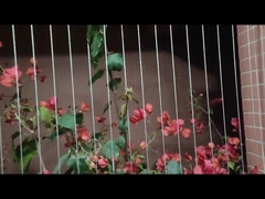 بالکن مشبک نامرئی محافظ کودک 316 استیل ضد زنگ