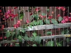 جامعه مدرن طراحی بالکن شبكه نامرئي با خدمات ضربه زدن و ظرفيت حمل 100 کيلوگرم