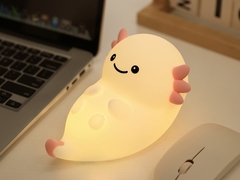 چراغ شب چند کارکردی با شارژ USB و منبع برق باتری