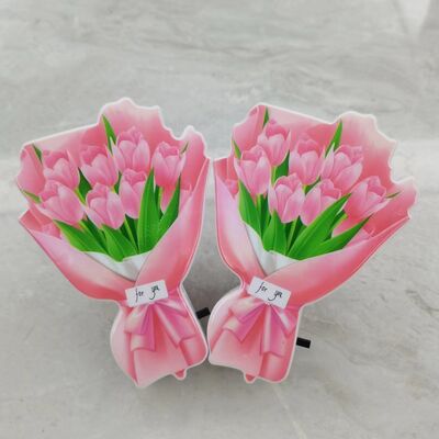 چراغ شب LED، منبع نور LED، مناسب برای اتاق خواب و راهروهای داخلی