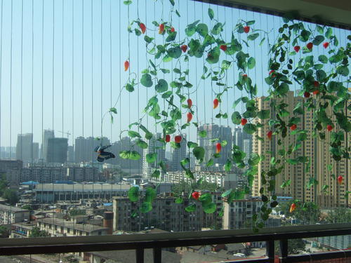 گیره گلدان نامرئی مدل عبوری AG3-1.6 میلی متر ایده آل برای ساختمان های بلند و کاربردهای ایمنی شهری