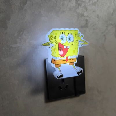 منبع تغذیه چراغ خواب دوشاخه ای ولتاژ 110-240 ولت، نورپردازی پایدار و کم مصرف برای تنظیمات متعدد